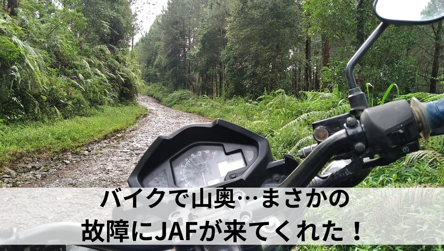 アイキャッチ画像